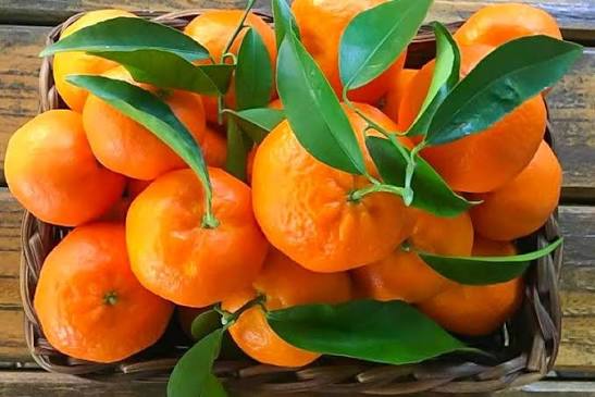 Mandalina