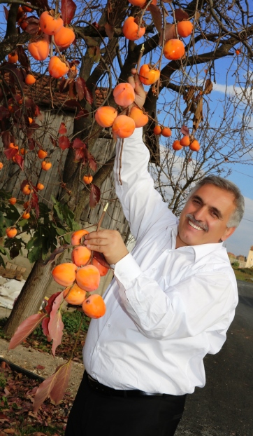 G�nkar Tar�m Sezon Bilgileri