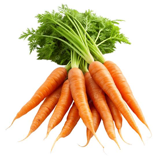 Havuç